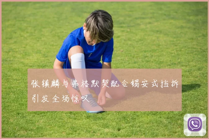 张镇麟与弗格默契配合锡安式挡拆引发全场惊叹